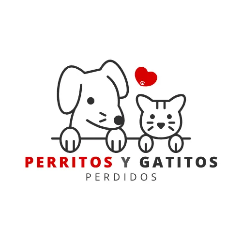 perritosygatitos